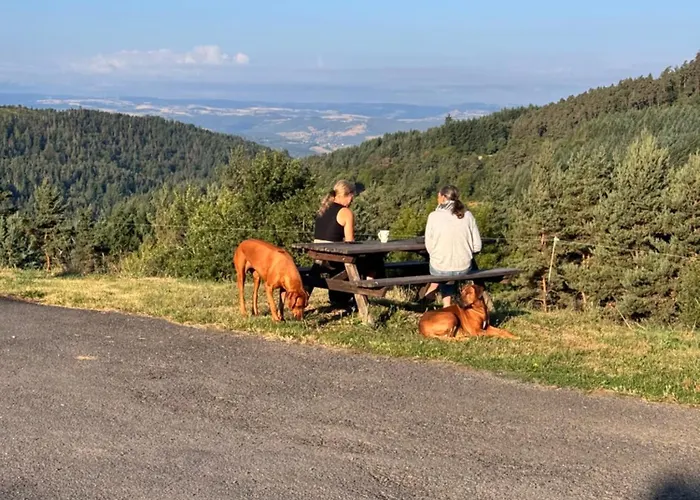Maison d'hôtes Refuge D' Estivareilles