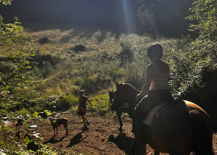 Refuge D' Estivareilles