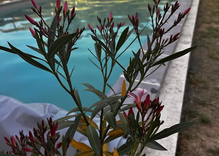 Refuge D' Estivareilles Maison d'hôtes